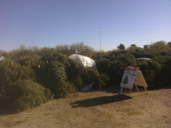 Treecycle
