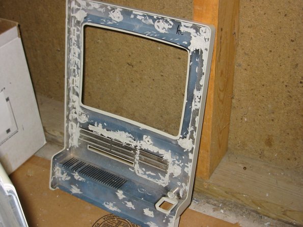 The shaved front piece