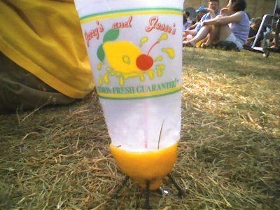Lemonade Stand