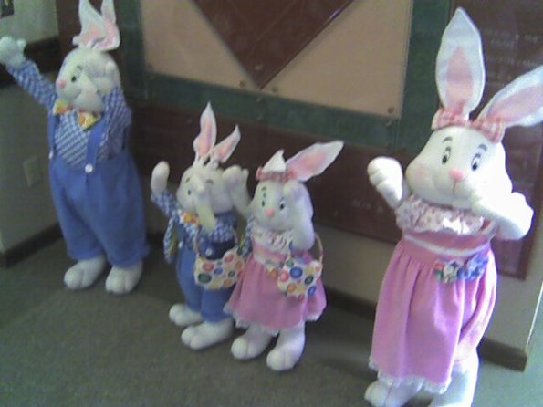 Bunny Family