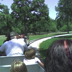 Riding the train