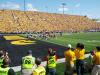 Let's Go Hawks!