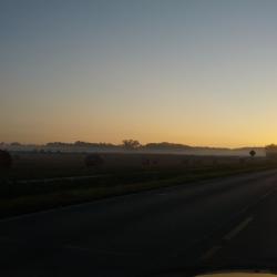 Foggy morning
