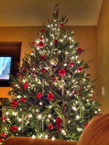 Tree.