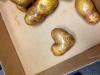 Potato Love