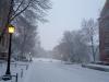 Snowy Wednesday
