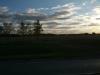Down the road