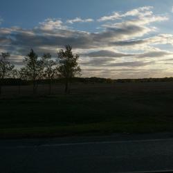 Down the road