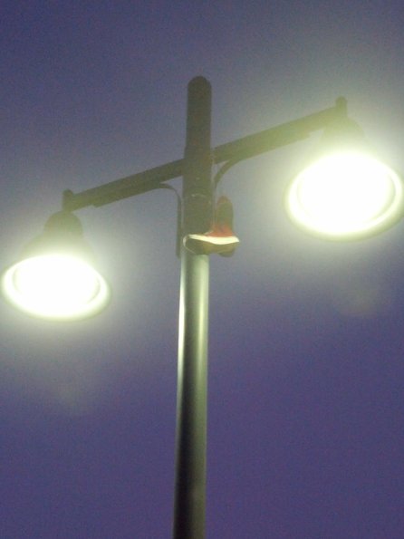 Hey you lost your shoes