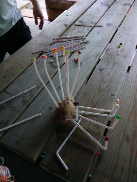 Jelly beans balanced on straws stuck in a potato... Yah!