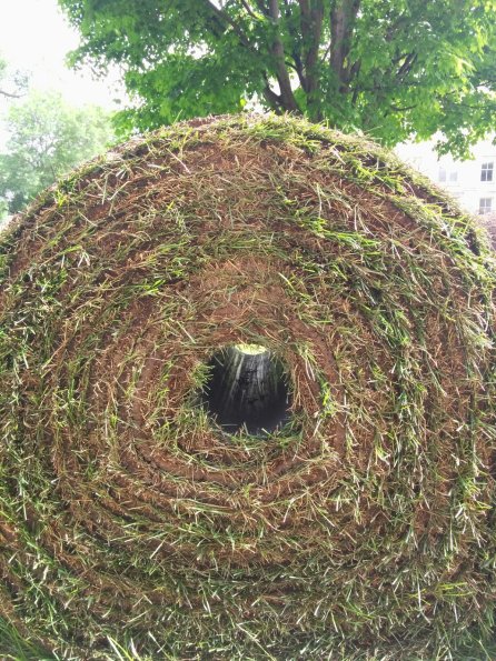 Sod Swirl