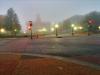 Froggy Morning