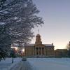 Snowy Sunrise