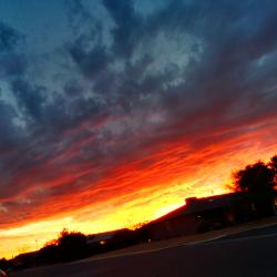 AZ Sunset