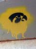 Hawkeye Graffiti