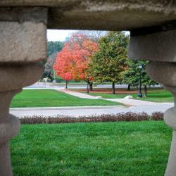 Red on the other side