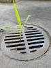 Drain Tree