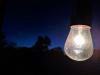 The lights