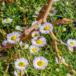 20260322_213457_69ce4c3248c71