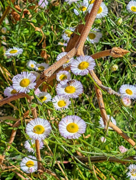 20260322_213457_69e855d2bc377