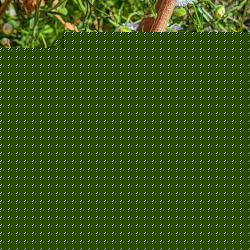 20260322_213457_69fa2212a2127