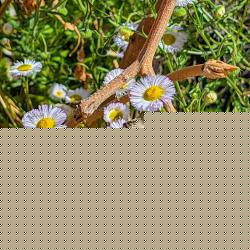 20260322_213457_6a2998126220e