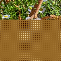 20260322_213457_6a31d5725828d