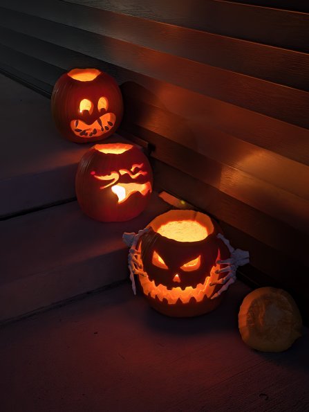 Punkins