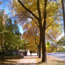 Autumn