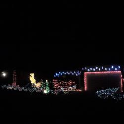 Oooo purdy lights!