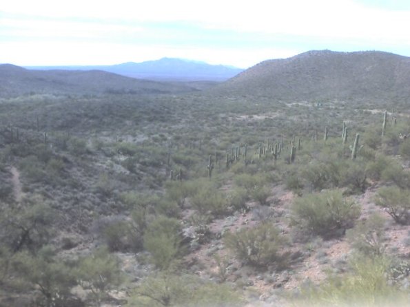 Desert