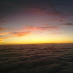 Landing in DFW