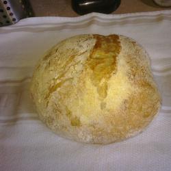 NYT No Knead Bread