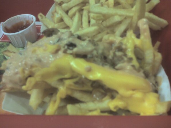 In N Out Fries Animal Style