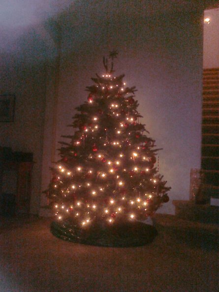 Christmas Tree Decorated