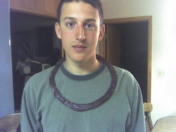 Jerky necklace
