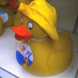 Ducky