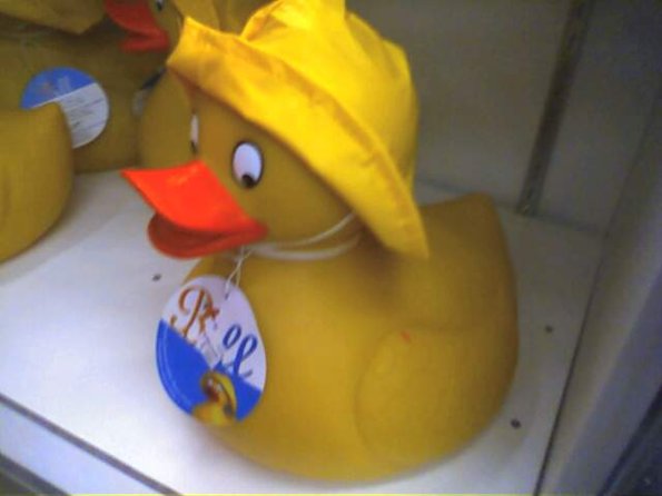 Ducky