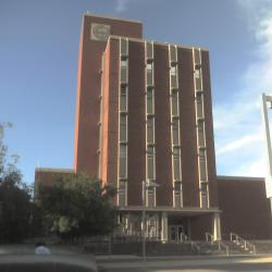 My new building