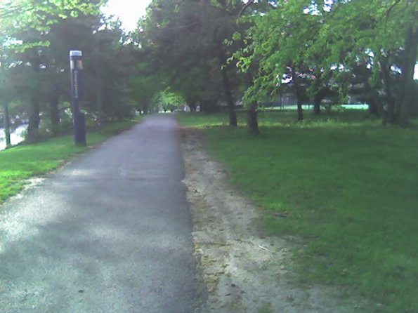 Tree tunnel
