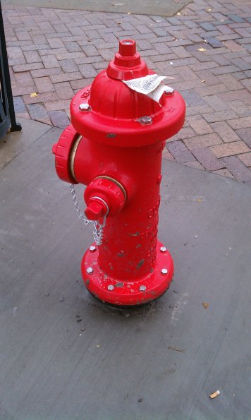 Shiny New Hydrant