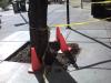 Warning: Tree Here