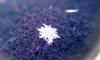 Snowflake on My Coat