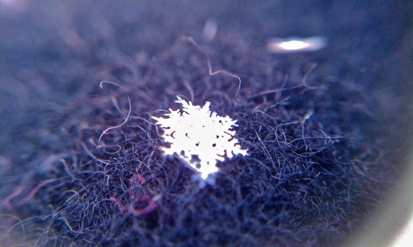 Snowflake on My Coat