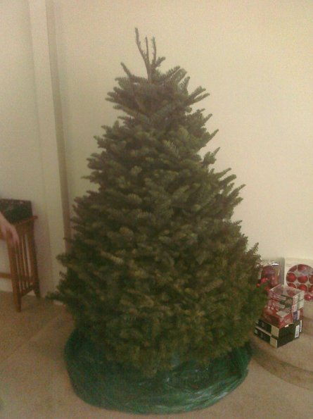 Christmas Tree