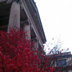 Natural History Museum