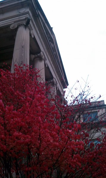 Natural History Museum