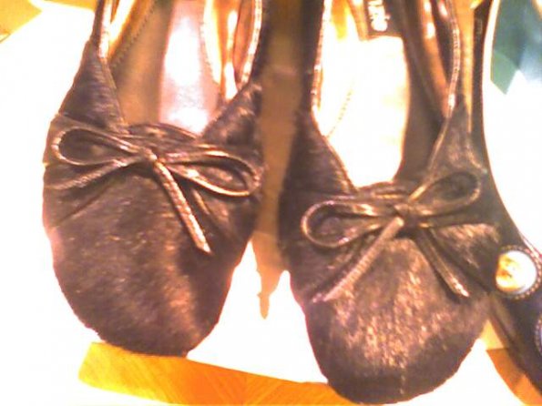 How many cats gave their lives to make these shoes?