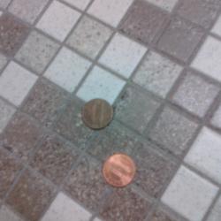Two Cents