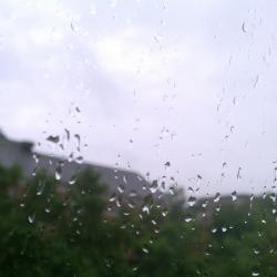 Rainy Window